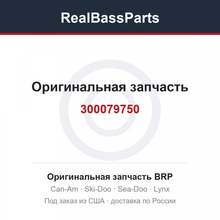300079750