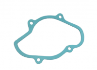 420430051 420430050 Прокладка помпы RealbassParts для 800R Ski-Doo