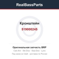 519000245 Кронштейн