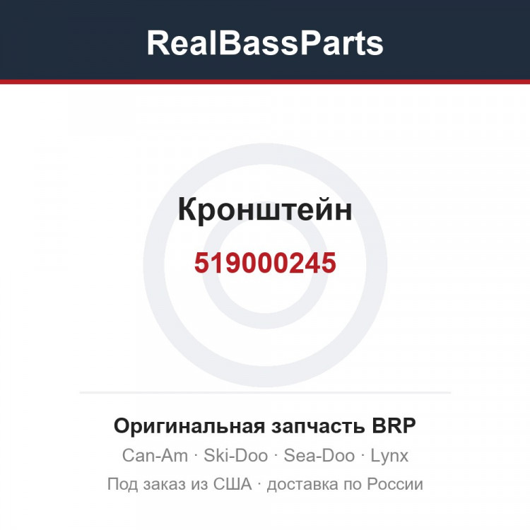 519000245 Кронштейн