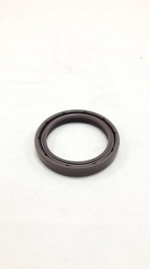 420230137 OIL SEAL