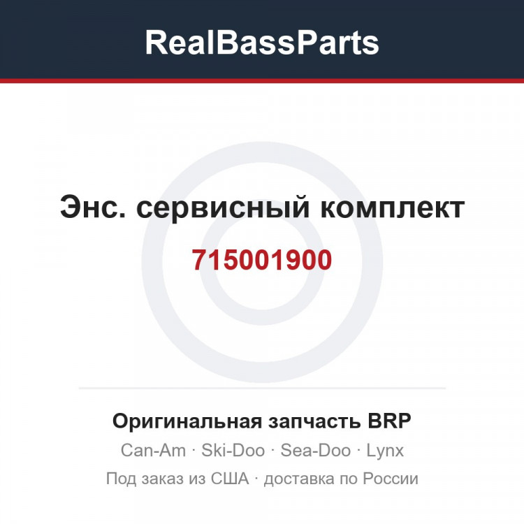 715001900 Энс. сервисный комплект