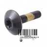250000572 Болт M8 X 35 TORX-HEAD SCREW