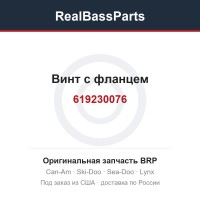 619230076 Винт с фланцем