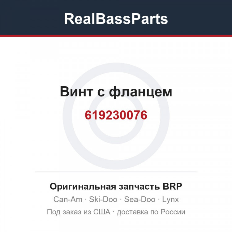 619230076 Винт с фланцем