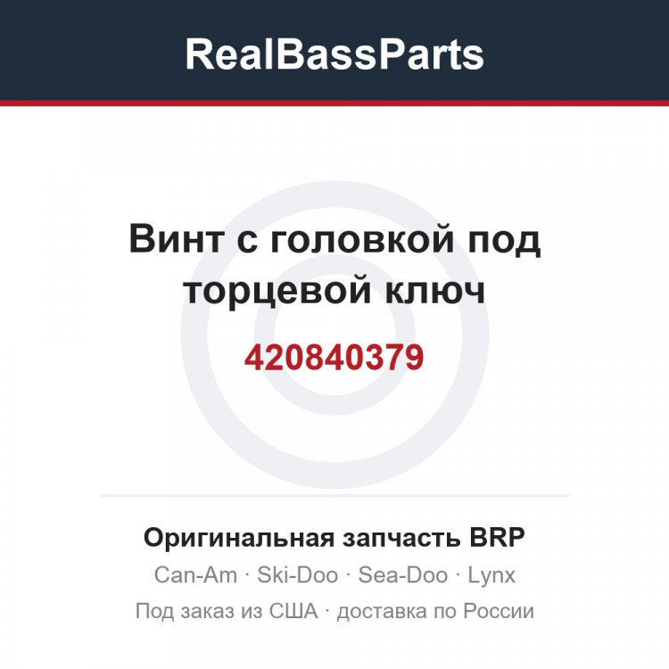 420840379 Винт с головкой под торцевой ключ