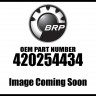 420254434 Шестерня BRP 420254430 420254432 420254433
