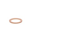 420230150 ANNEAU ETANCHE *GASKET RING