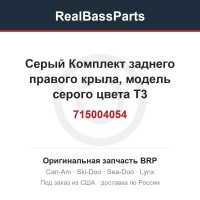 715004054 Серый Комплект заднего правого крыла, модель серого цвета T3