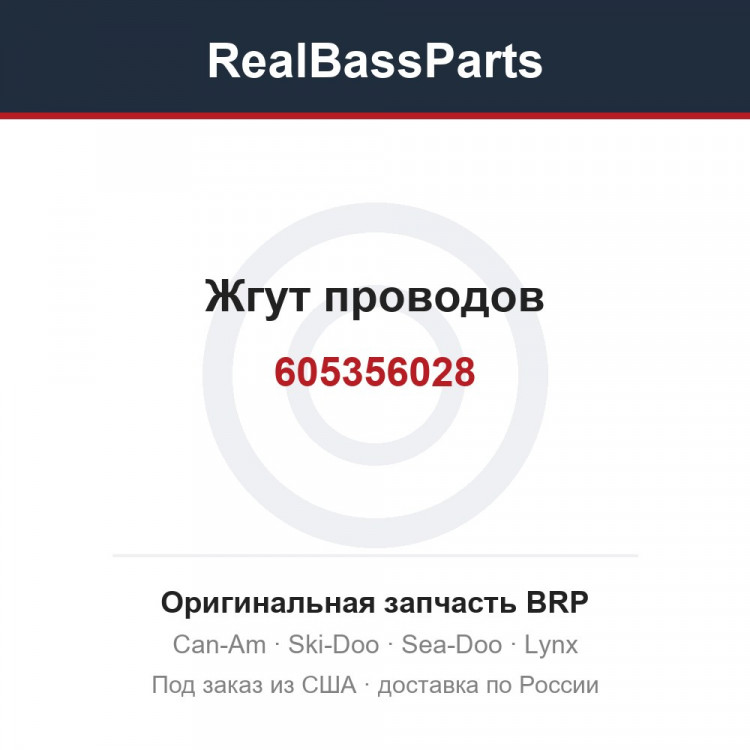 605356028 Жгут проводов