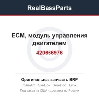 420666976 ЕСМ, модуль управления двигателем