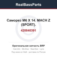 420840391 Саморез M6 X 14. MACH Z (SPORT).