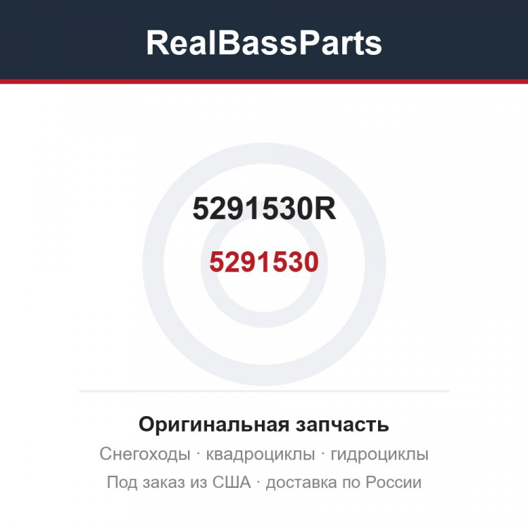 5291530R