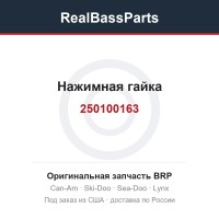 250100163 Нажимная гайка