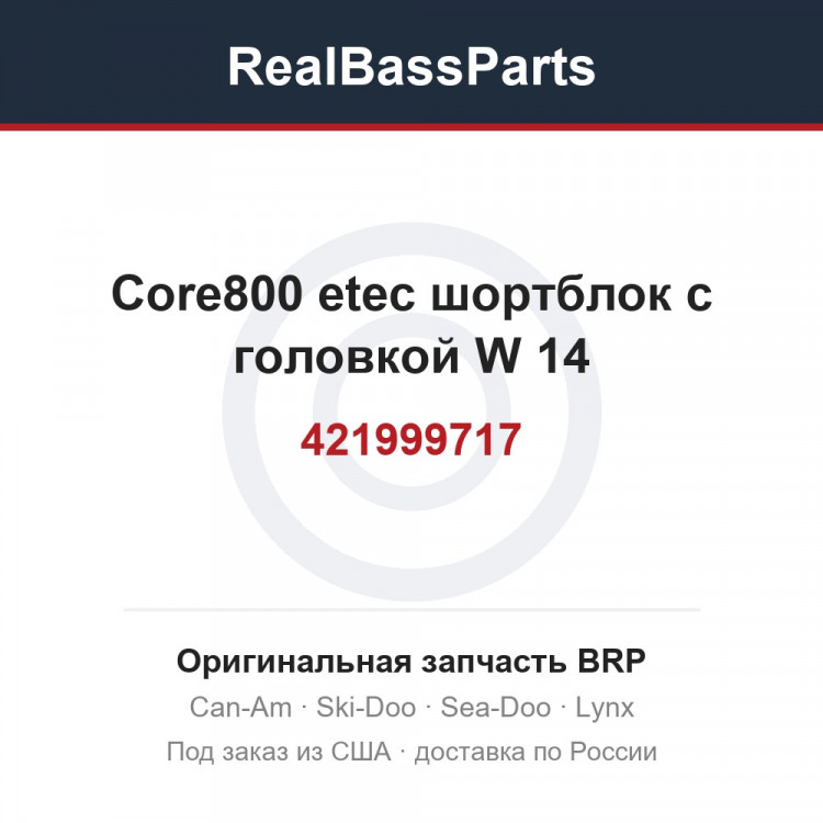 421999717 Core800 etec шортблок с головкой W 14
