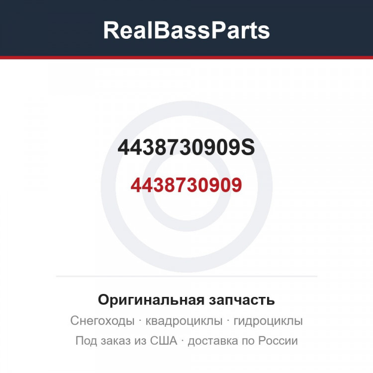 4438730909S