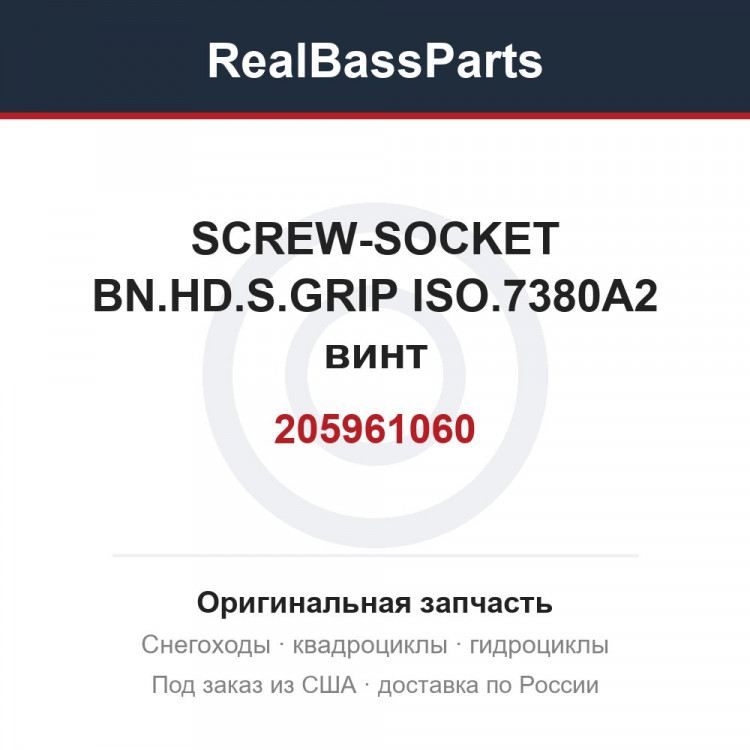 205961060 SCREW-SOCKET BN.HD.S.GRIP ISO.7380A2  винт