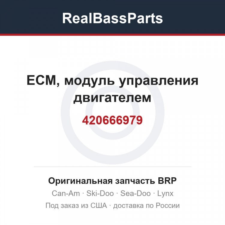 420666979 ЕСМ, модуль управления двигателем