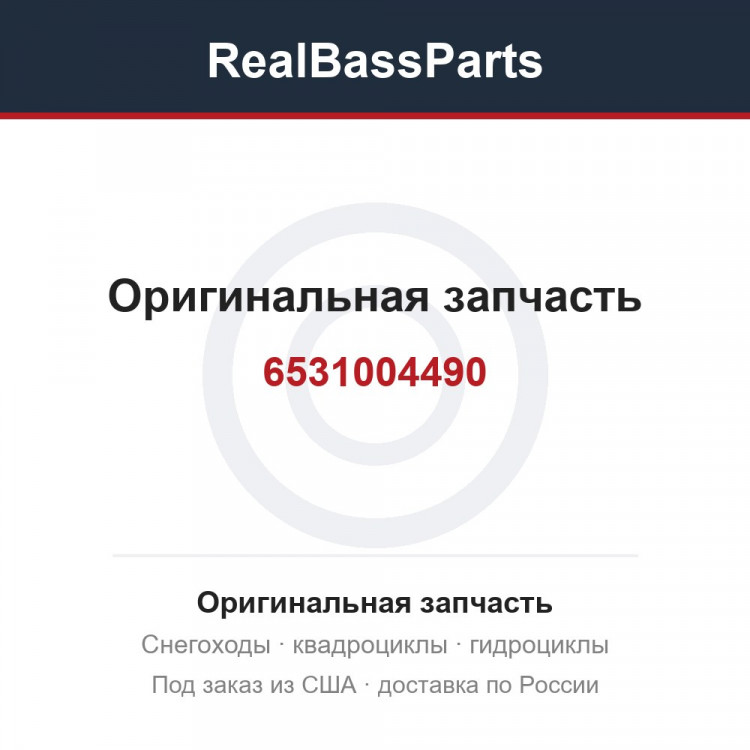6531004490
