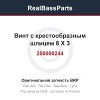 250000244 Винт с крестообразным шлицем 8 X 3