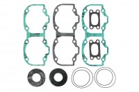 09-711277 Прокладки полный комплект 550F SPI Ski-Doo 420889910, 420889911