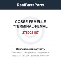 278002187 COSSE FEMELLE  *TERMINAL-FEMAL