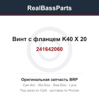 241642060 Винт с фланцем K40 X 20