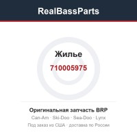 710005975 Жилье