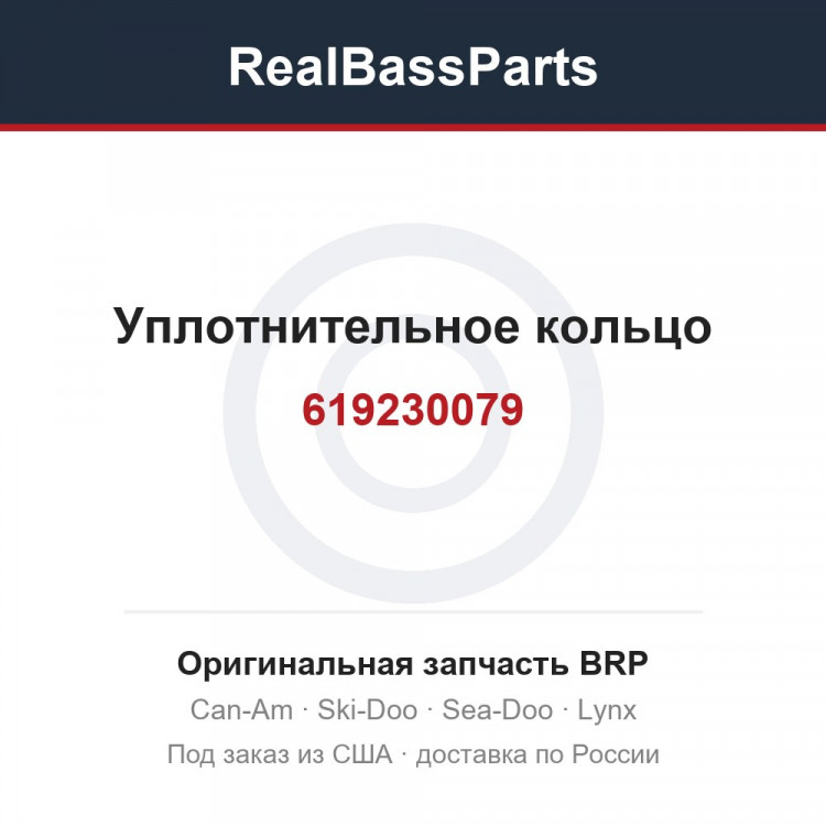 619230079 Уплотнительное кольцо