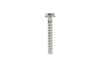 241142560 Гарантийный комплект SCREW-PT.HEX.FLANGE K40 X 25
