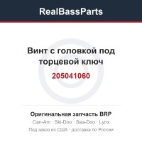 205041060 Винт с головкой под торцевой ключ