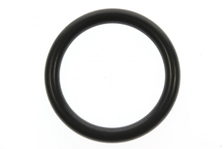 420230890 JOINT TORIQUE  *O RING