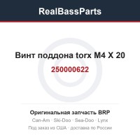 250000622 Винт поддона torx M4 X 20