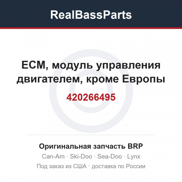 420266495 ECM, модуль управления двигателем, кроме Европы