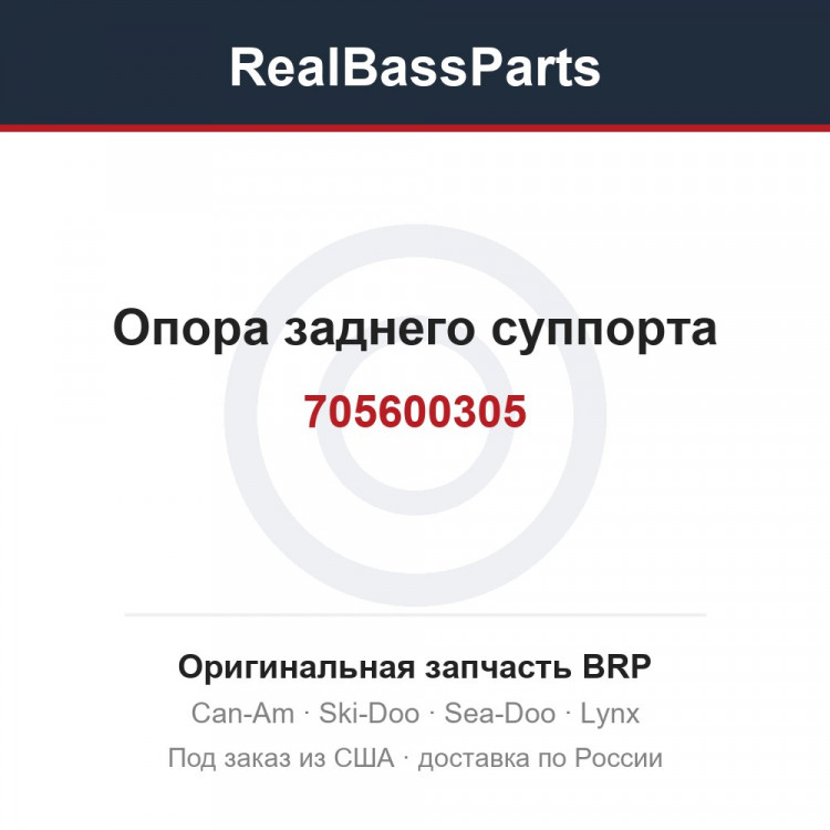 705600305 Опора заднего суппорта