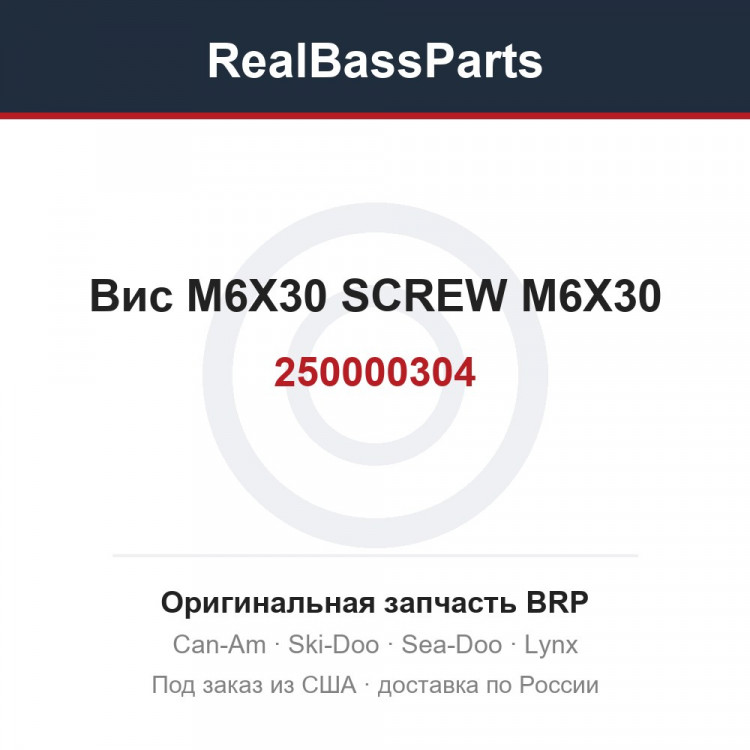 250000304 Вис M6X30 SCREW M6X30