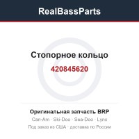 420845620 Стопорное кольцо
