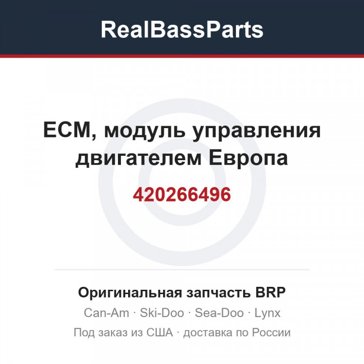 420266496 ECM, модуль управления двигателем Европа