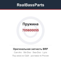705600055 Пружина