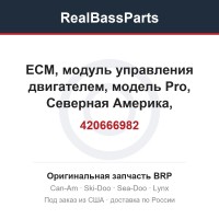 420666982 ECM, модуль управления двигателем, модель Pro, Северная Америка, международный