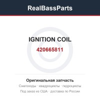 420665811 IGNITION COIL