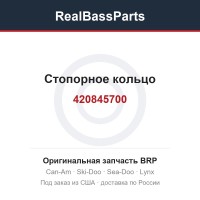 420845700 Стопорное кольцо