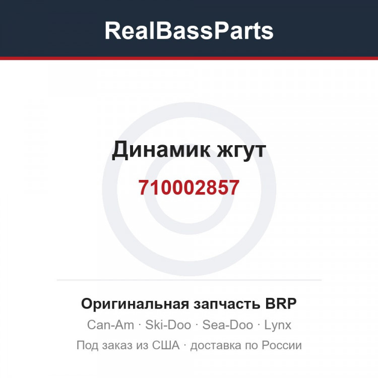 710002857 Динамик жгут