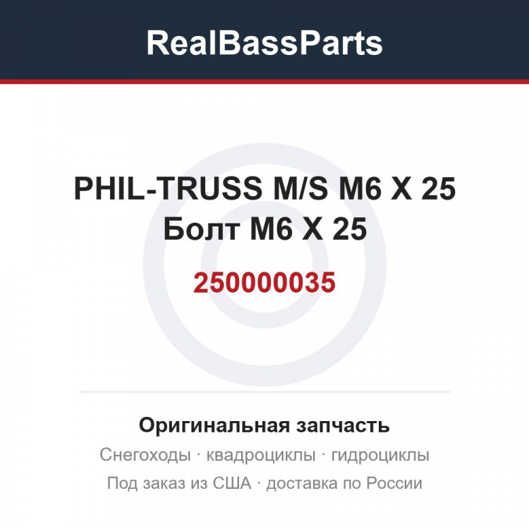 250000035 PHIL-TRUSS M/S M6 X 25  Болт M6 X 25