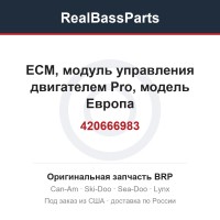 420666983 ECM, модуль управления двигателем Pro, модель Европа