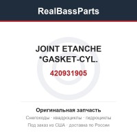 420931905 JOINT ETANCHE *GASKET-CYL.