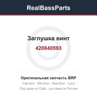 420840593 Заглушка винт
