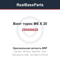 250000628 Винт торкс M6 X 20