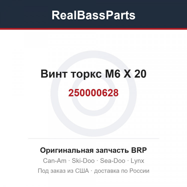 250000628 Винт торкс M6 X 20