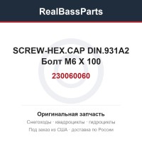 230060060 SCREW-HEX.CAP DIN.931A2  Болт M6 X 100